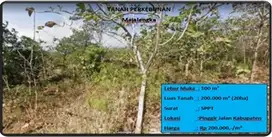 tanah perkebunan