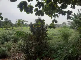tanah murah pinggir jalan raya Bogor