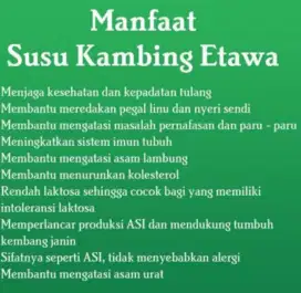 Susu kambing etawa bubuk