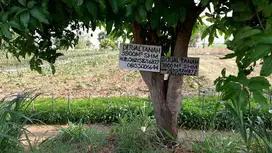Tanah kering/pekarangan Nol jalan desa