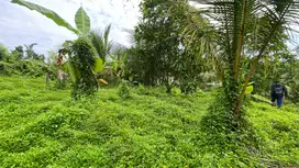 Di jual tanah cocok untuk hunian atau villa di tabanan