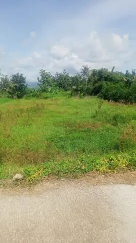 Dijual Sebidang Sawah di Seyegan Susukan