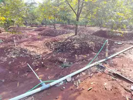 Tanah Plus Kebun Durian 22.000 m² Jumapolo Karanganyar