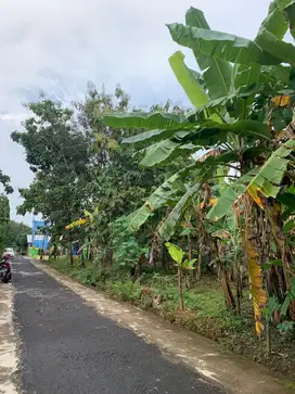 Tanah Ideal 495m2 Murah Masaran Sragen