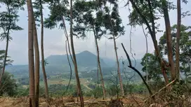 Jual tanah kavling di puncak 2 bogor terbaru 2025