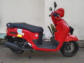 Fazzio hybrid 2023 orisinil cakep