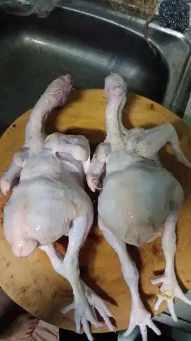 Ayam potong Fresh