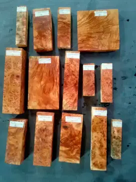 Bahan handicraft kayu amboyna burl exotic