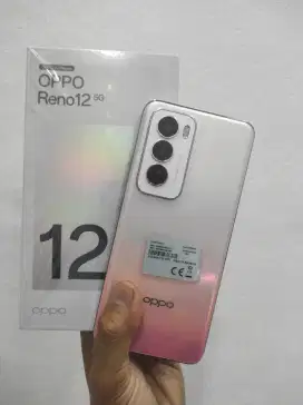 Oppo Reno 12 5G 12/256