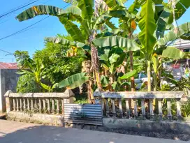 BU jual cepat tanah siap bangun