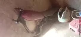 Rangka RX . K. RX jadul dari pada g kepake tank rangka jok