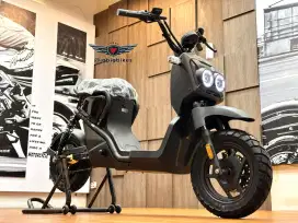 Honda Zoomer E Unlock 45KM