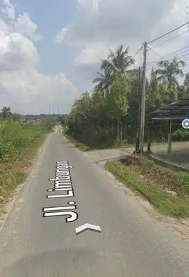 Tanah tepi aspal jl Limbungan 1874m2 posisi hook