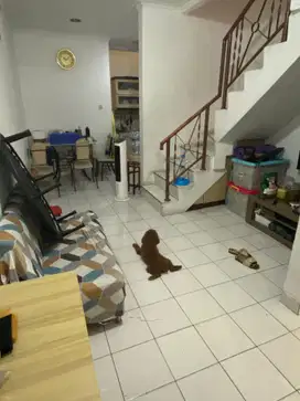 Dijual cepat rumah Taman Palem Lestari