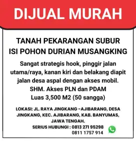 TANAH PEKARANGAN ISI POHON DURIAN MUSANGKING