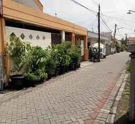 Rumah siap huni termurah lokasi di manyar sabrangan dekat Kertajaya