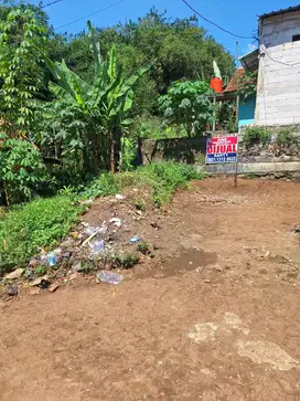TANAH DEKAT CIFOR