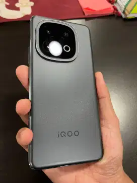 Vivo iQoo 13 12/256 GB Black