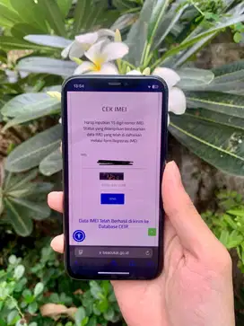 IPhone 11 Pro Beacukai 256GB