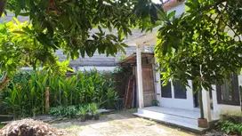 Tanah Bonus Rumah Lokasi Strategis Dijual, di Canggu