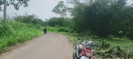 disewakan tanah di Cisauk