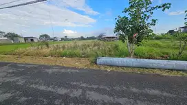 Tanah pantai lima Mengwi