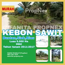 Dijual kebon sawit di Buatan,Siak,Riau luas 5.000Ha