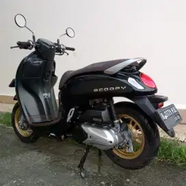 HONDA SCOOPY PRESTIGE TAHUN 2021 CASH / KREDIT MURAH DP MULAI 500 RB