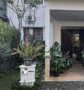 Dijual Rumah Full Furnished Cluster De Latinos BSD