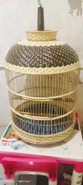 Sangkar tekukur baru