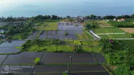 Dijual Tanah Kavling View Sawah Dekat Pantai di Seririt