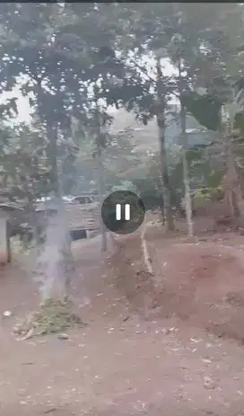 Dijual rumah kebun asri pegunungan Wonosalam, Jombang