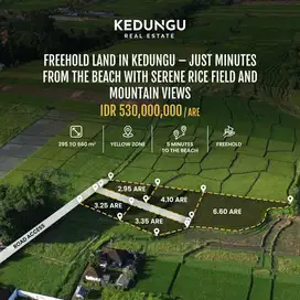Freehold Land in Kedungu Beach