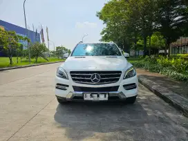 Mercedes Benz ML250 CDI Best Condition