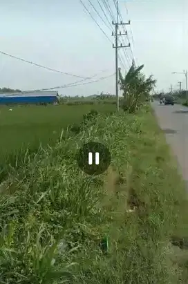 Dijual tanah zona industri nol jalan Mojoagung, Jombang