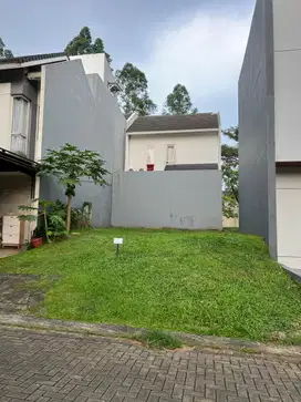 Tanah kotak Royal Blossom The Green