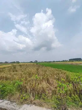 dijual tanah industri murah di pedan klaten