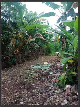 Dijual Tanah Bebas Banjir