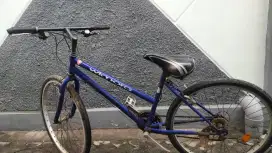 Di jual sepeda bekas Polygon wimora