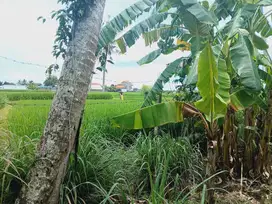 TANAH SHM 510 M2 ASPEK PERUMAHAN DEKAT KE TANAH LOT DAN PANTAI KEDUNGU