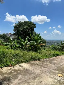 Tanah Tembalang Bulusan Undip