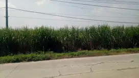 Dijual tanah lokasi strategis Mojokerto