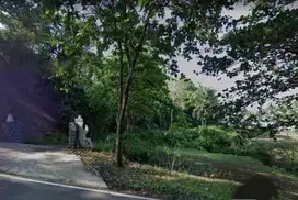 Di Jual Tanah Kosong Dekat Pantai Ranca Buaya Garut