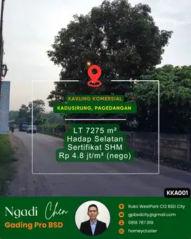 Dijual Cepat Tanah 7275m² dekat Hiera BSD, Kadusirung, Pagedangan