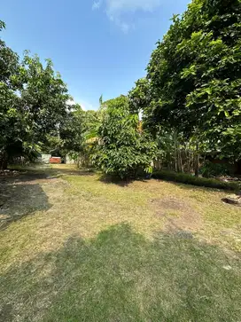 Dijual Kavling ,mess & tanah kebun
