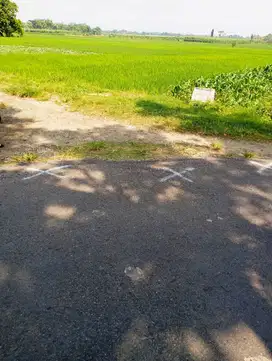 Dijual tanah nol jalan Ngoro, jombang