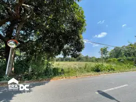 Tanah Luas Mulawarman Cuma 3,7 Jt Per Meter Tembalang Semarang