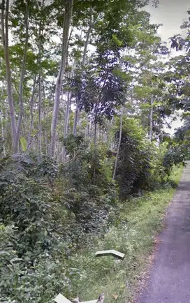 Dijual Tanah Lokasi Strategis cocok untuk Villa dan Hotel di Jembrana