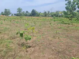 Dijual Tanah di Sindangbarang Cianjur Selatan 2 KM dari Pantai Karang