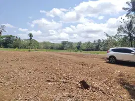 Dijual Pekarangan, LD 10 Meter, Jl. Godean, Moyudan Yogyakarta